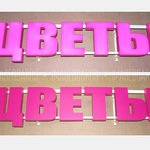 Svet bukvi cveti